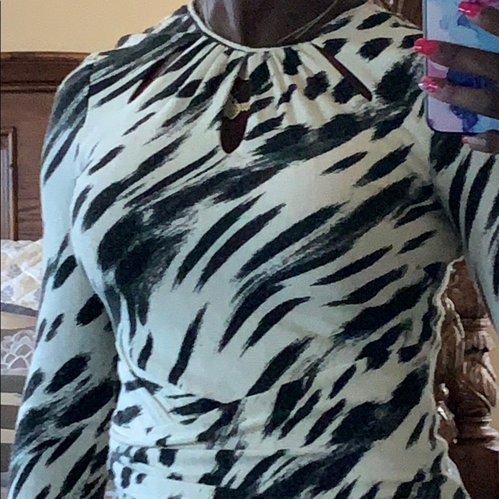 Cache Dress - Picture 2 of 6